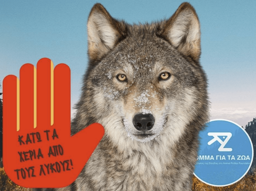 Κόμμα για τα Ζώα: Κάτω τα χέρια από τους λύκους και την άγρια ζωή!