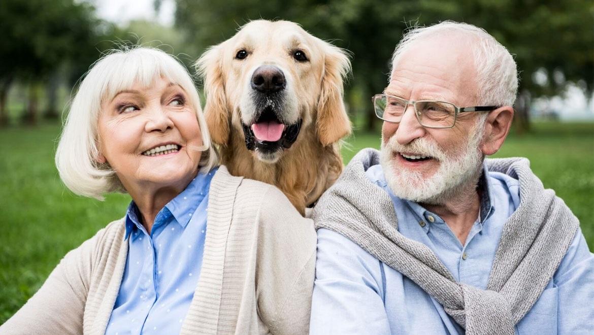 Οι ιδανικές ράτσες σκυλιών για ηλικιωμένους
