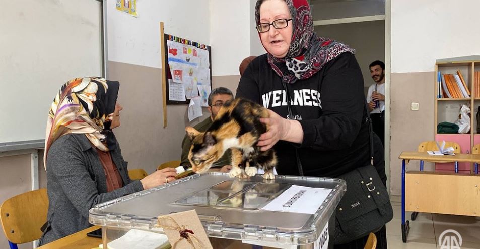 Τουρκία: Ψηφίζουν με γάτες & κατσίκες – Τα ευτράπελα των εκλογών