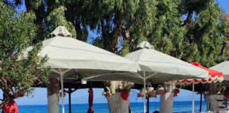 08.08.2024 ΜΟΝΟΔΕΝΤΡΙ.jpg