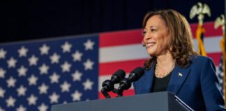 1 12 1024x681 1.jpeg