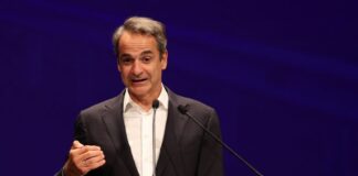 4362274 1024x681 1.jpg