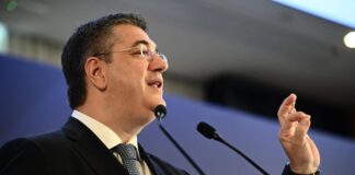 6112053 1024x682 1.jpg