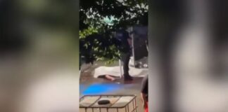 Capture 120 1024x573.jpg