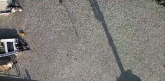 Capture 209.jpg
