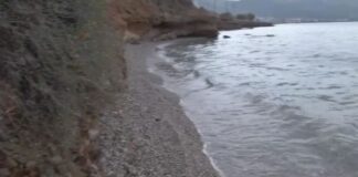 Capture 222.jpg