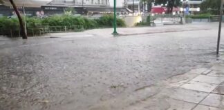 Capture 88.jpg