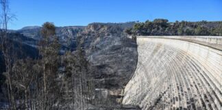 FOTIA ATTIKI 1 1024x681 1.jpg