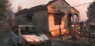 FOTIA1.jpg