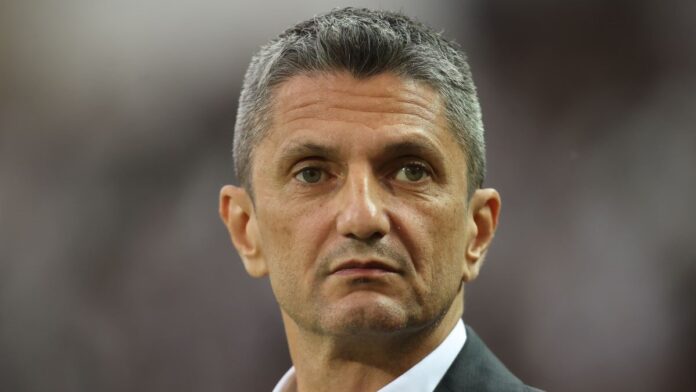 LUCESCU 1.jpg