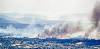 TSC 1 PATR 4 2 1024x683 1.jpg