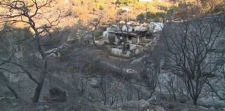 fotia 6.jpg