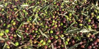 john cameron WCyjPJBzSAU unsplash 549x412.jpg