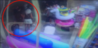 louna park 2.png