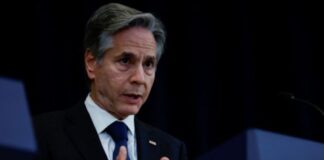 mplinken 1024x645.jpg