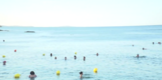 paralia.png