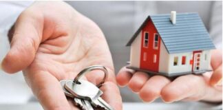 stegastika daneia 1.jpg