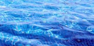 swimming pool 8306716 1920.jpg