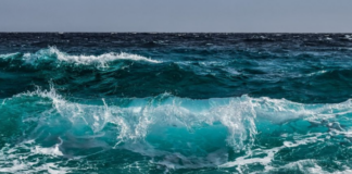 thalassa.png