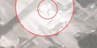 9 5.png