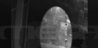 Capture 161.jpg