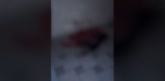 Capture 235.jpg