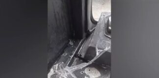 Capture 86.jpg