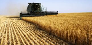 agrotikos tomeas 1.jpg