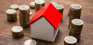 epidoma stegasis 1.jpg