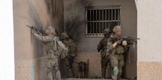 idf 3 1024x682 1.jpg