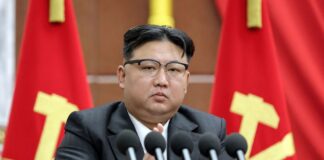 kim 1024x682.jpg