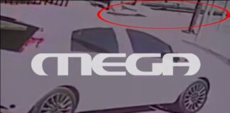 kolona.jpg