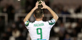macheda.jpg