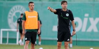 paofc.jpg