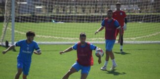 training new 1024x683 1.jpg