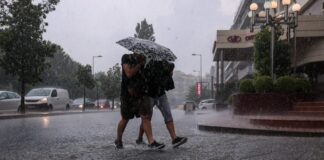 vits44591623255639 1024x683 1.jpg