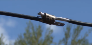 22.png