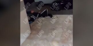 Capture 256.jpg
