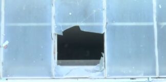 Capture 54.jpg