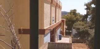 Capture 63.jpg