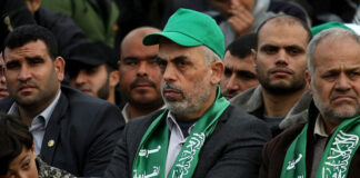 F181216ARK09 880x495 2.jpg