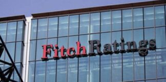 Fitch 1.jpg