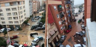 FotoJet 2024 10 30T144428.441 1200x800 1 1024x683.jpg