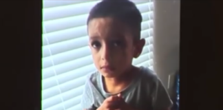 asitia e1727866658285.png