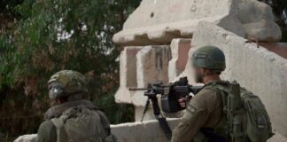 idf 3 1200x800 1 1024x683.jpg