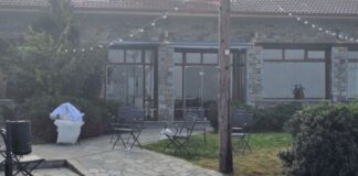 koza 600x323 1.jpg