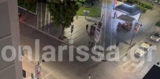 larisa tsim 1044x587 1.jpg