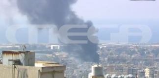 livanos 1 e1728408391367.png