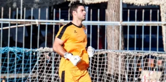 nikopolidis.webp.webp