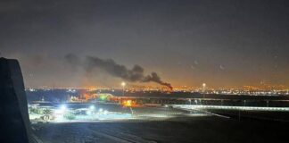 photo 5827995326609474708 y 1.jpg